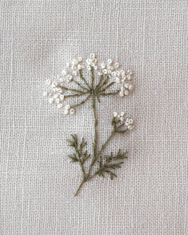 Embroidered Queen Anne’s Lace in a hoop